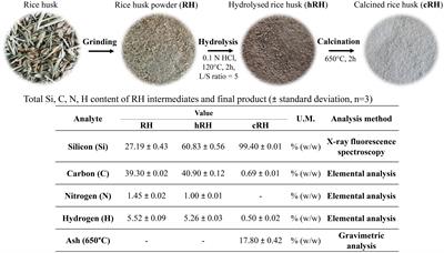 Mechanistic insights into the plant biostimulant activity of a novel formulation based on rice husk nanobiosilica embedded in a seed coating alginate film